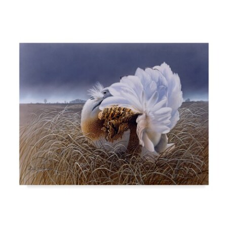 Trademark Fine Art Harro Maass 'Great Bustard' Canvas Art, 24x32 ALI35555-C2432GG
